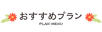 おすすめプラン