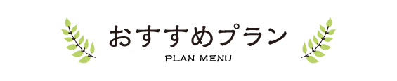 おすすめプラン